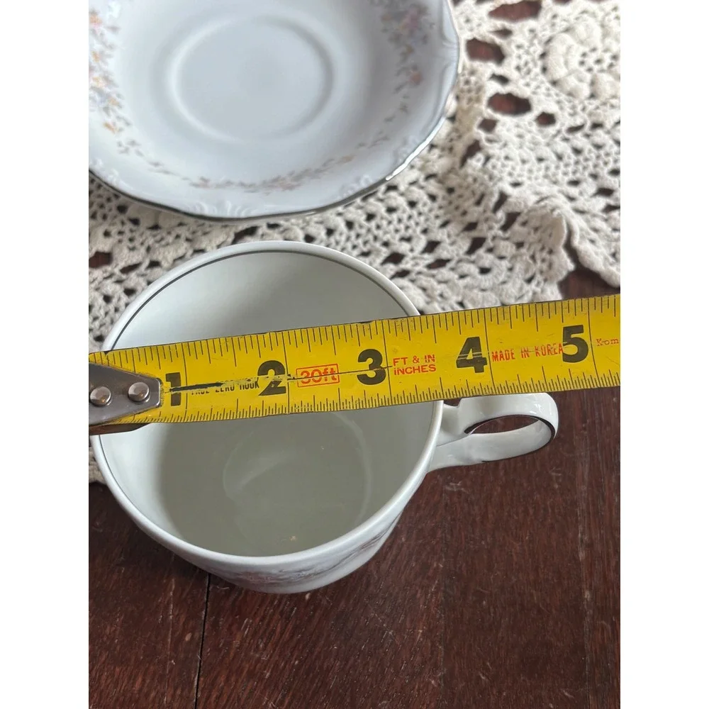 Johann Haviland Bavaria Blue Garland Teacup and‎ Saucer Set Silver Trim Germany
